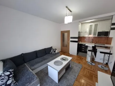 Izdavanje, jednosoban stan, 42m², Zabjelo, Podgorica - image 3