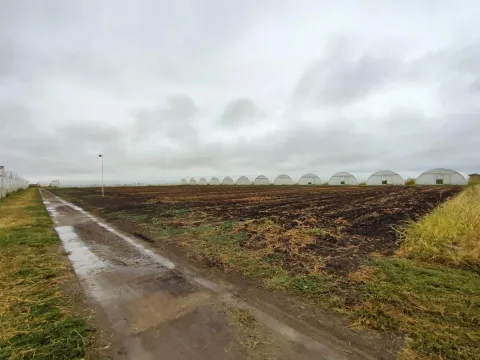 Prodaja,  zemljište, 520m2, Vrbas, Novi Sad