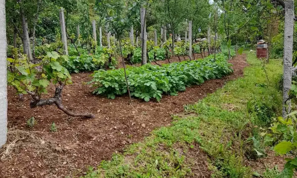 Prodaja, plac, 700m², Herceg Novi, Crna Gora