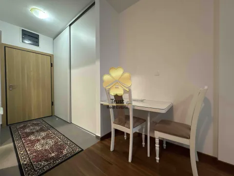 Izdavanje, garsonjera, 30m², Master Kvart, Podgorica - image 4