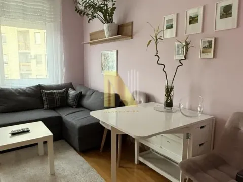 Izdavanje, jednosoban stan, 36m², Rotkvarija, Novi Sad Sve Podlokacije - image 3