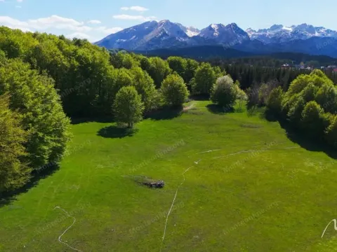 Sale, land lot, 583m², Žabljak, Crna Gora - image 5