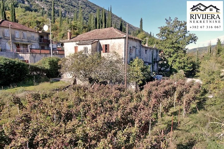 Prodaja, plac, 3636m², Sutorina, Herceg Novi