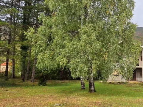 Prodaja, kuća, 260m², Nikšić, Crna Gora - image 3