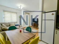 Izdavanje, jednosoban stan, 42m², Zabjelo, Podgorica - image 5