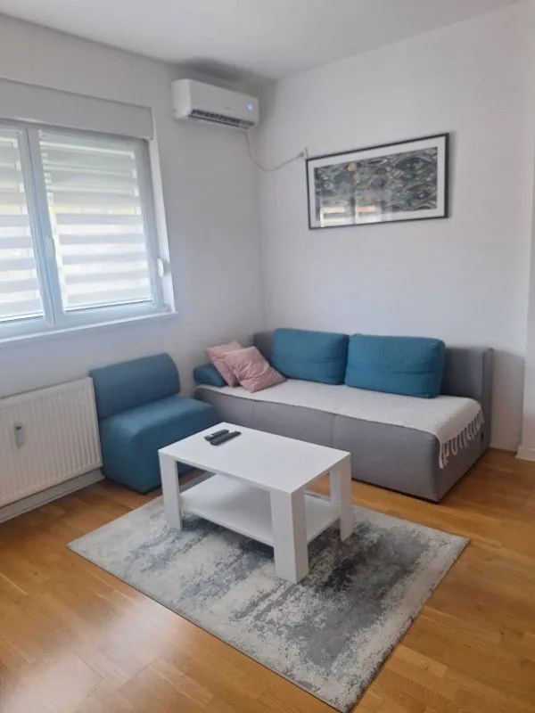 Living room with a sofa, armchair, coffee table and air conditioner.
