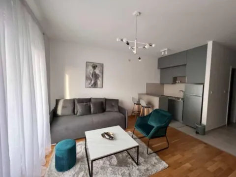 Izdavanje, garsonjera, 32m², Ljubović, Podgorica - image 2