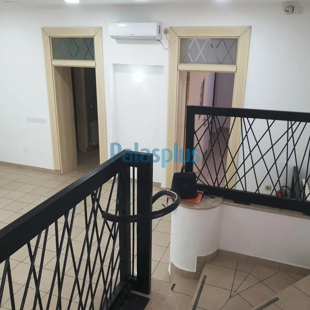 Izdavanje, poslovni prostor, 54m², Zemun Centar, Zemun Sve Podlokacije