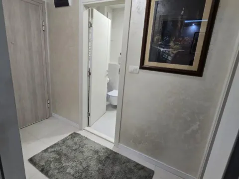 Izdavanje, jednosoban stan, 49m², Podgorica, Crna Gora - image 3