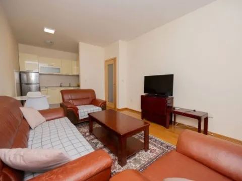 Izdavanje, jednosoban stan, 48m², Blok 9, Podgorica - image 2