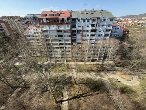 Izdavanje, jednosoban stan, 25m², Niš, Srbija - image 11