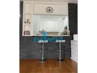 Izdavanje, dvosoban stan, 47m², Novi Beograd Blok 63, Novi Beograd Sve Podlokacije - image 4