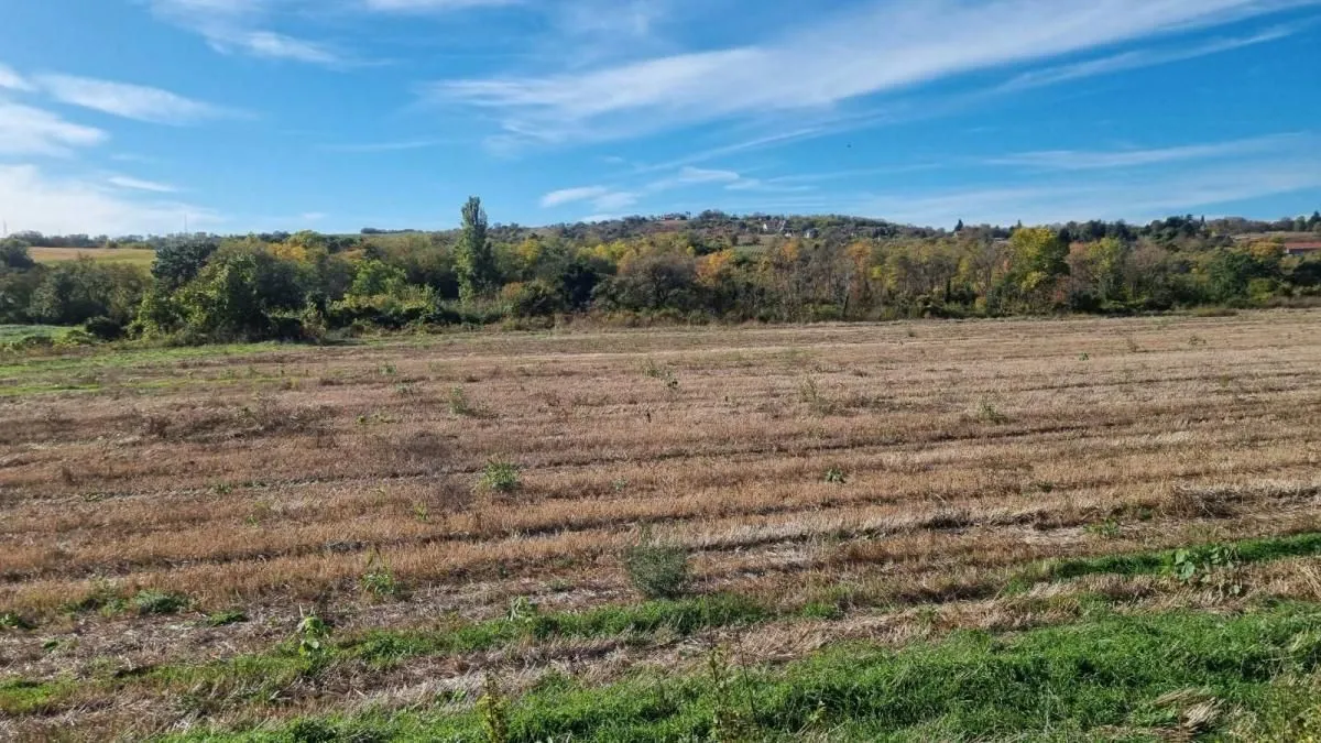 Prodaja, plac, 234m², Sremski Karlovci, Novi Sad