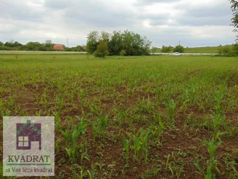 Prodaja, plac, 5800m², Zvečka, Obrenovac