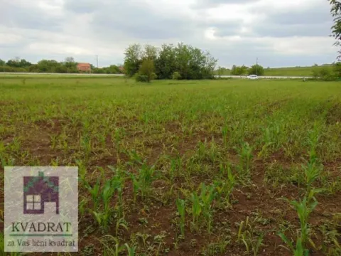 Sale, land lot, 5800m², Zvečka, Obrenovac - image 7
