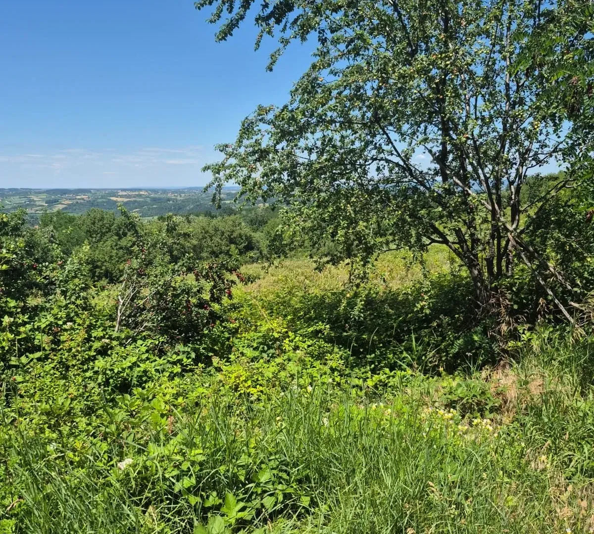 Sale, land lot, 11500m², Valjevo, Srbija