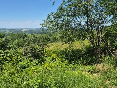 Sale, land lot, 11500m², Valjevo, Srbija - image 8