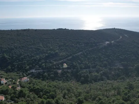 Prodaja, plac, 6500m², Luštica, Herceg Novi - image 10