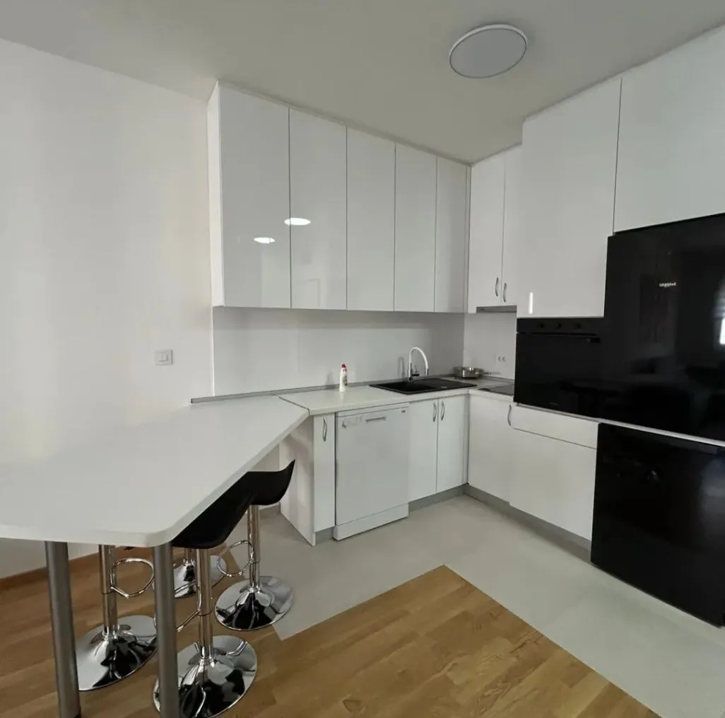 Izdavanje, jednosoban stan, 47m², Stari Aerodrom, Podgorica