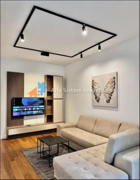 Izdavanje, dvosoban stan, 50m², Vračar Sve Podlokacije, Beograd