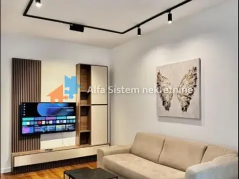 Izdavanje, dvosoban stan, 50m², Vračar Sve Podlokacije, Beograd