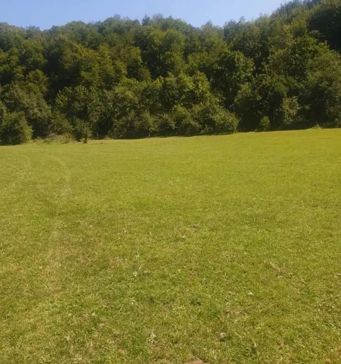 Sale, land lot, 600m², Kolašin, Crna Gora