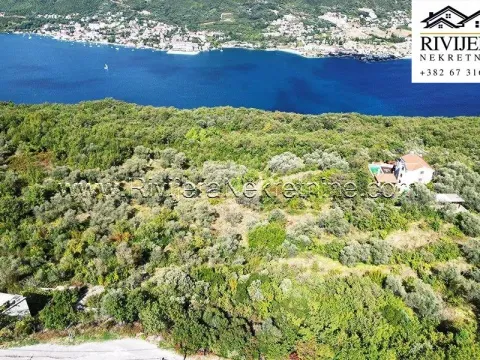Prodaja, plac, 2985m², Zabrđe, Herceg Novi - image 6