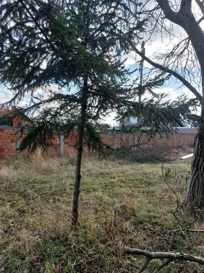 Prodaja, plac, 852m², Sremska Kamenica, Petrovaradin