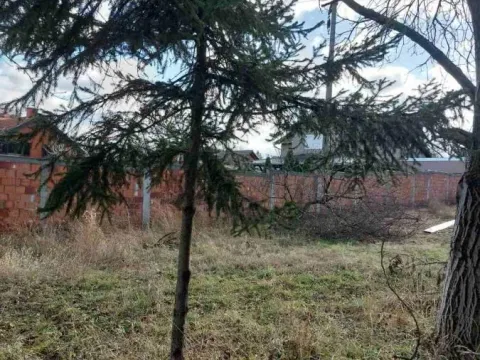 Prodaja, plac, 800m², Sremska Kamenica, Petrovaradin - image 8