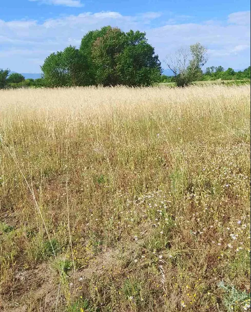 Prodaja, plac, 12000m², Golubovci, Podgorica