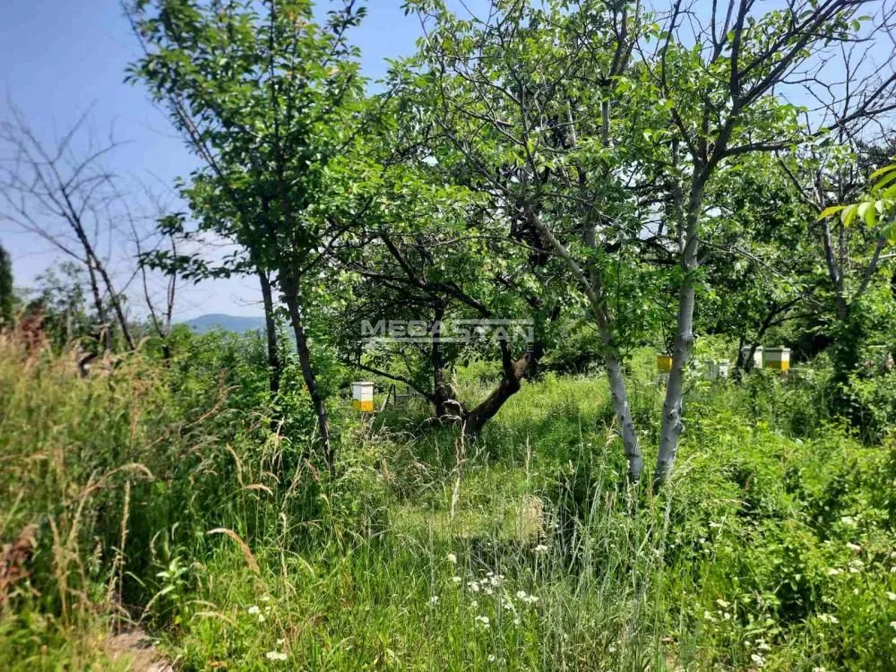 Prodaja, plac, 1100m², Palilula Sve Podlokacije, Beograd