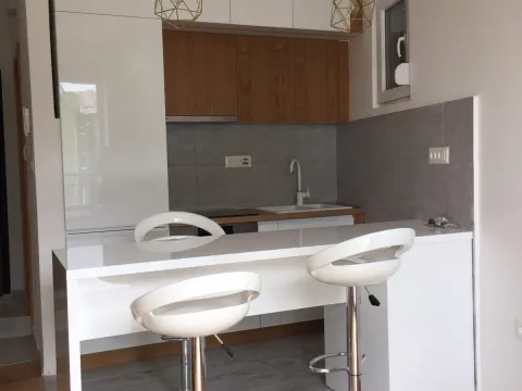 Izdavanje, stan, 27m², Zabjelo, Podgorica - image 9