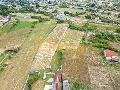 Sale, land lot, 6000m², Zeta, Podgorica - image 4