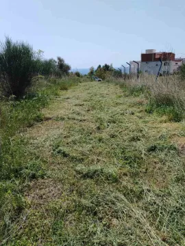 Sale, land lot, 756m², Zeleni Pojas, Bar - image 5