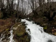 Prodaja, kuća, 28m², Kolašin, Crna Gora - image 10