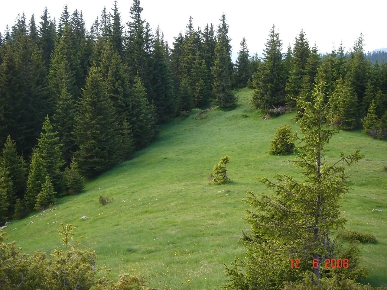 Prodaja, plac, 450000m², Centar, Žabljak