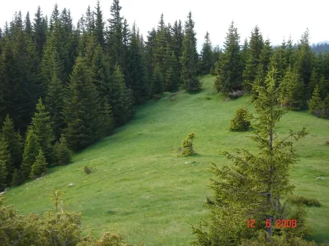 Prodaja, plac, 450000m², Centar, Žabljak - image 4