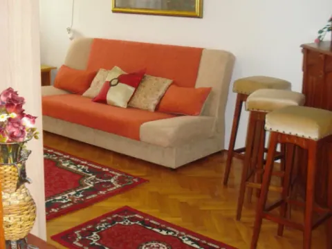 Izdavanje, dvosoban stan, 40m², Grbavica, Novi Sad Sve Podlokacije