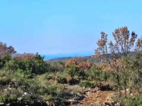 Sale, land lot, 15000m², Velja Gorana, Bar - image 3