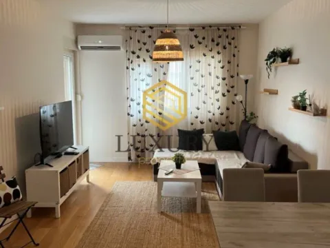 Izdavanje, jednosoban stan, 49m², Central Point, Podgorica - image 1