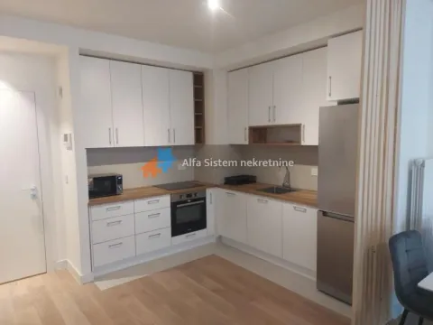 Izdavanje, dvosoban stan, 59m², Savski Venac, Beograd - image 3