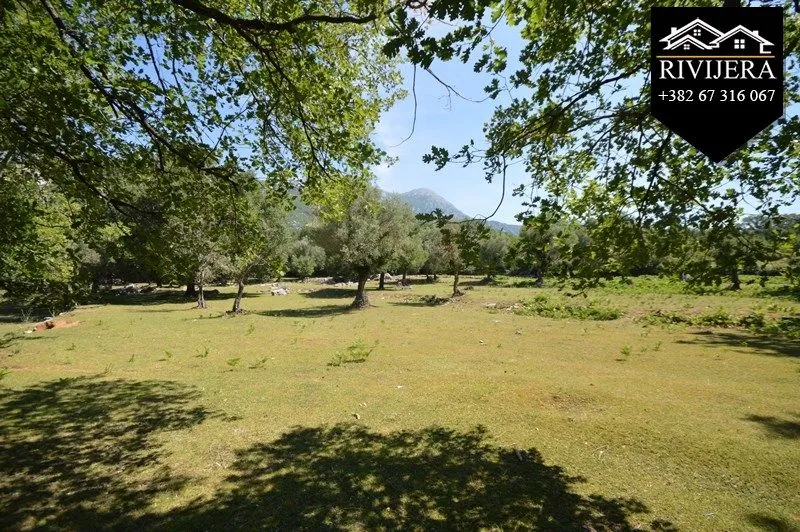 Prodaja, plac, 19000m², Podi, Herceg Novi