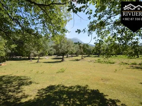 Prodaja, plac, 19000m², Podi, Herceg Novi - image 8