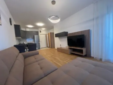 Izdavanje, jednosoban stan, 45m², Stari Aerodrom, Podgorica - image 7