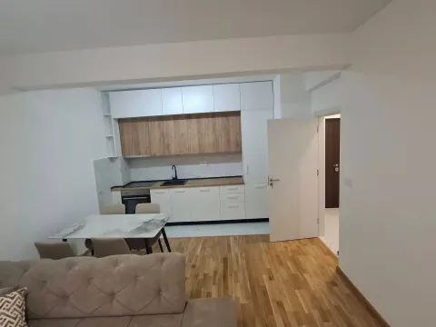 Rent, one bedroom apartment, 48m², Zabjelo, Podgorica - image 2
