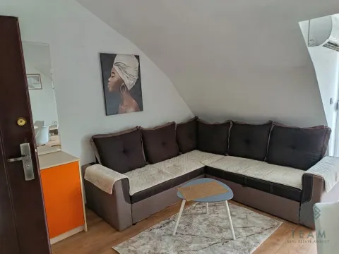 Rent, one bedroom apartment, 46m², Zabjelo, Podgorica - image 3