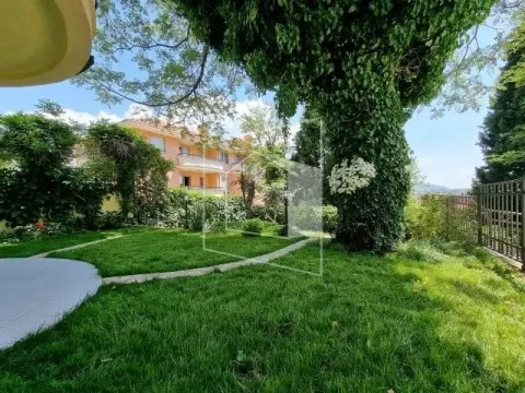 Nicely landscaped yard with a lawn and greenery in front of an apartment building. - image 16
