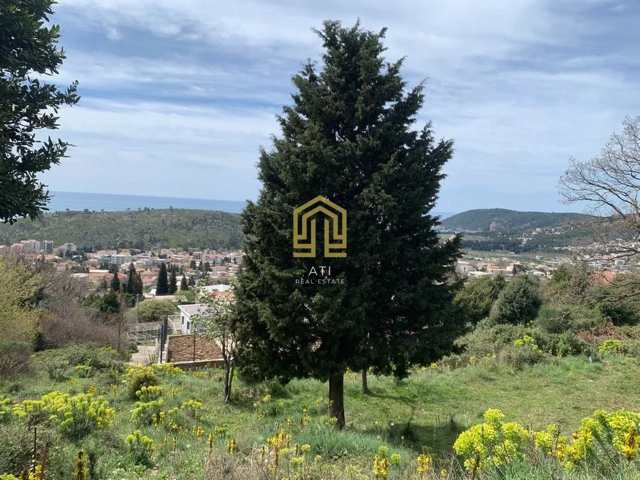 Pogled na zelenu površinu sa drvećem i naseljem u pozadini.
