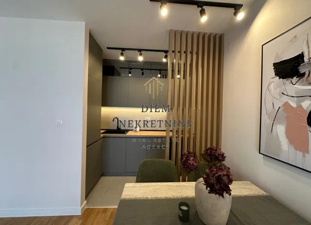 Rent, one bedroom apartment, 43m², Zabjelo, Podgorica