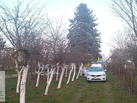 Prodaja, kuća, 40m², Bečej, Novi Sad - image 26